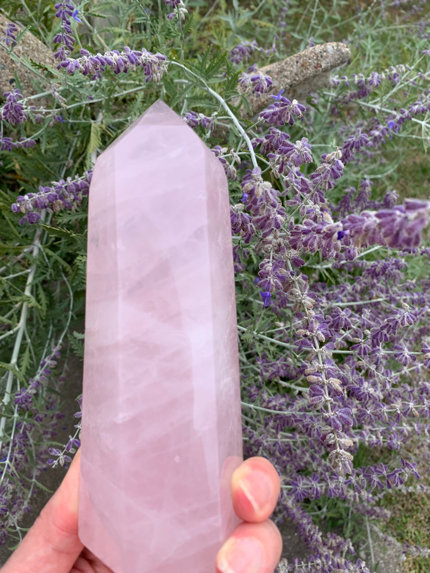 Rose Quartz Generator - Madagascar