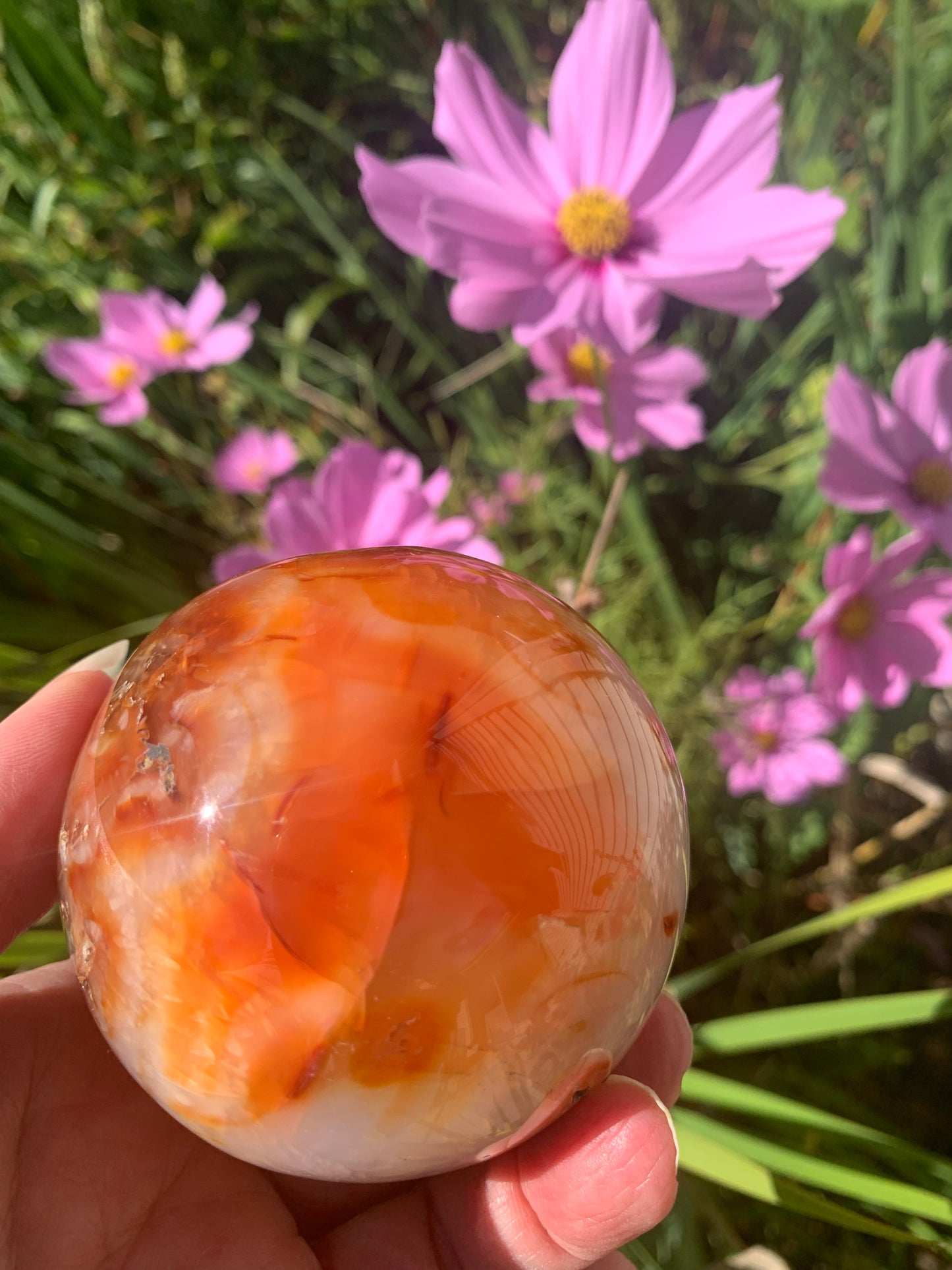 Carnelian Sphere - Madagascar