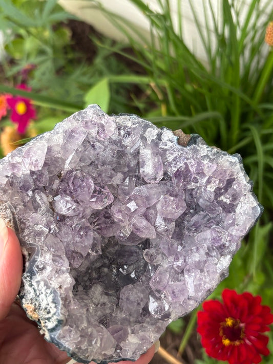 Amethyst Cluster | Brazil