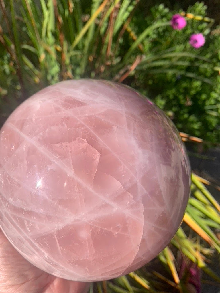 Rose Quartz Sphere - Madagascar - XXX Large