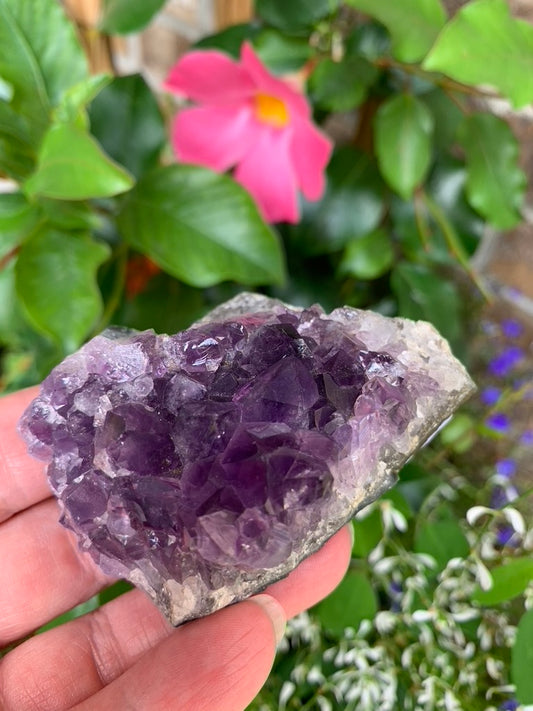 Amethyst Cluster