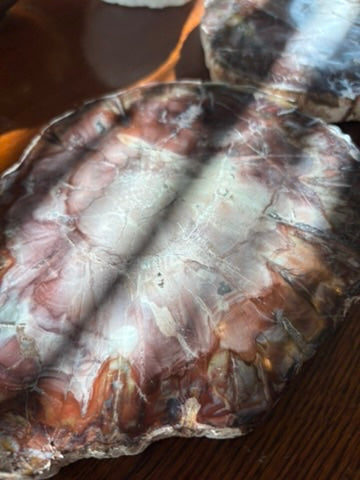 Petrified Wood charging plate set - Madagascar