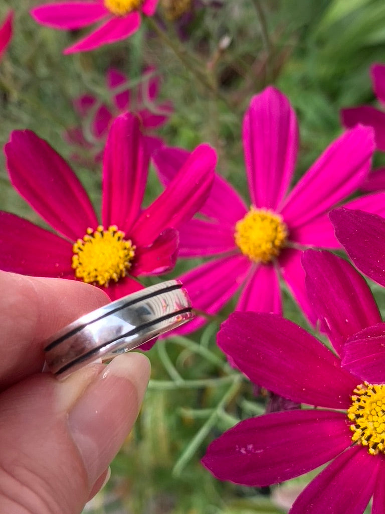 Banded Sterling Silver Ring size 7