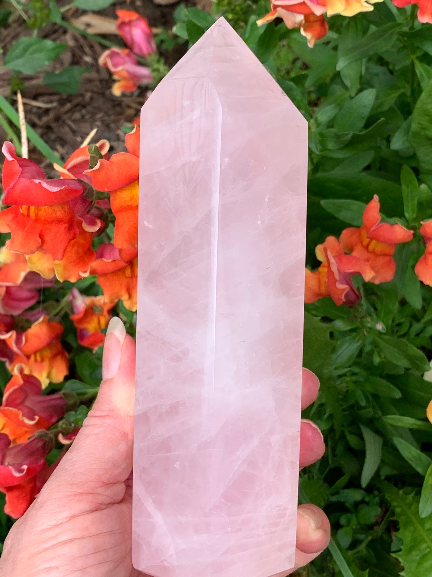 Rose Quartz Generator - Madagascar