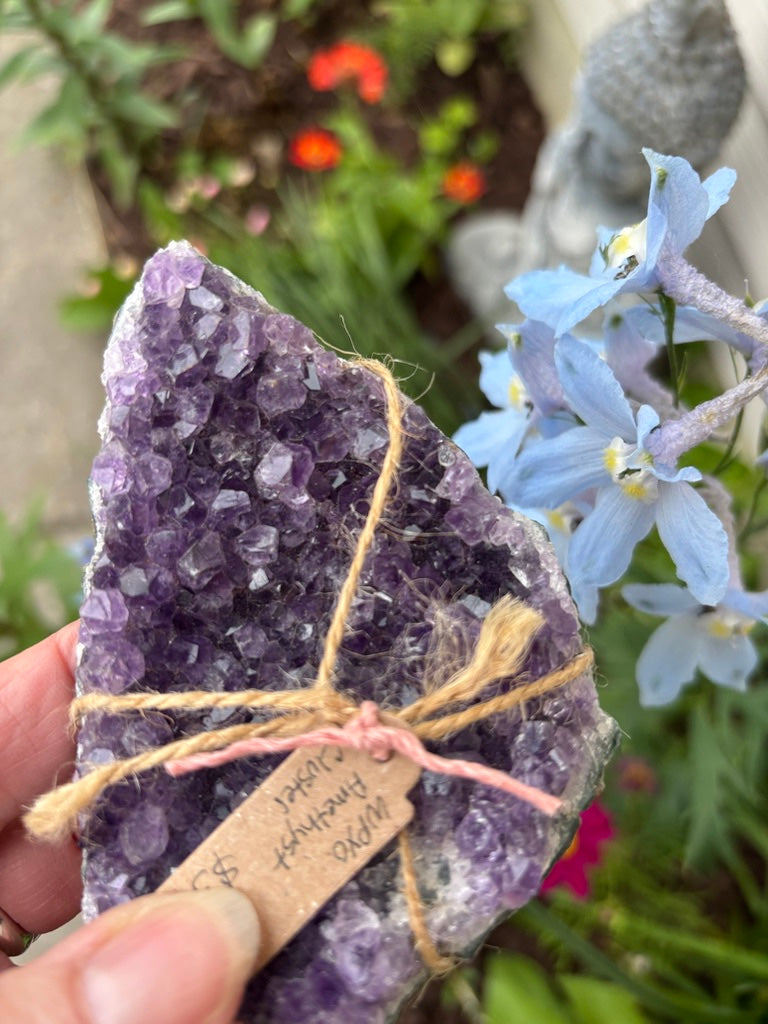Amethyst Cluster | Uruguay