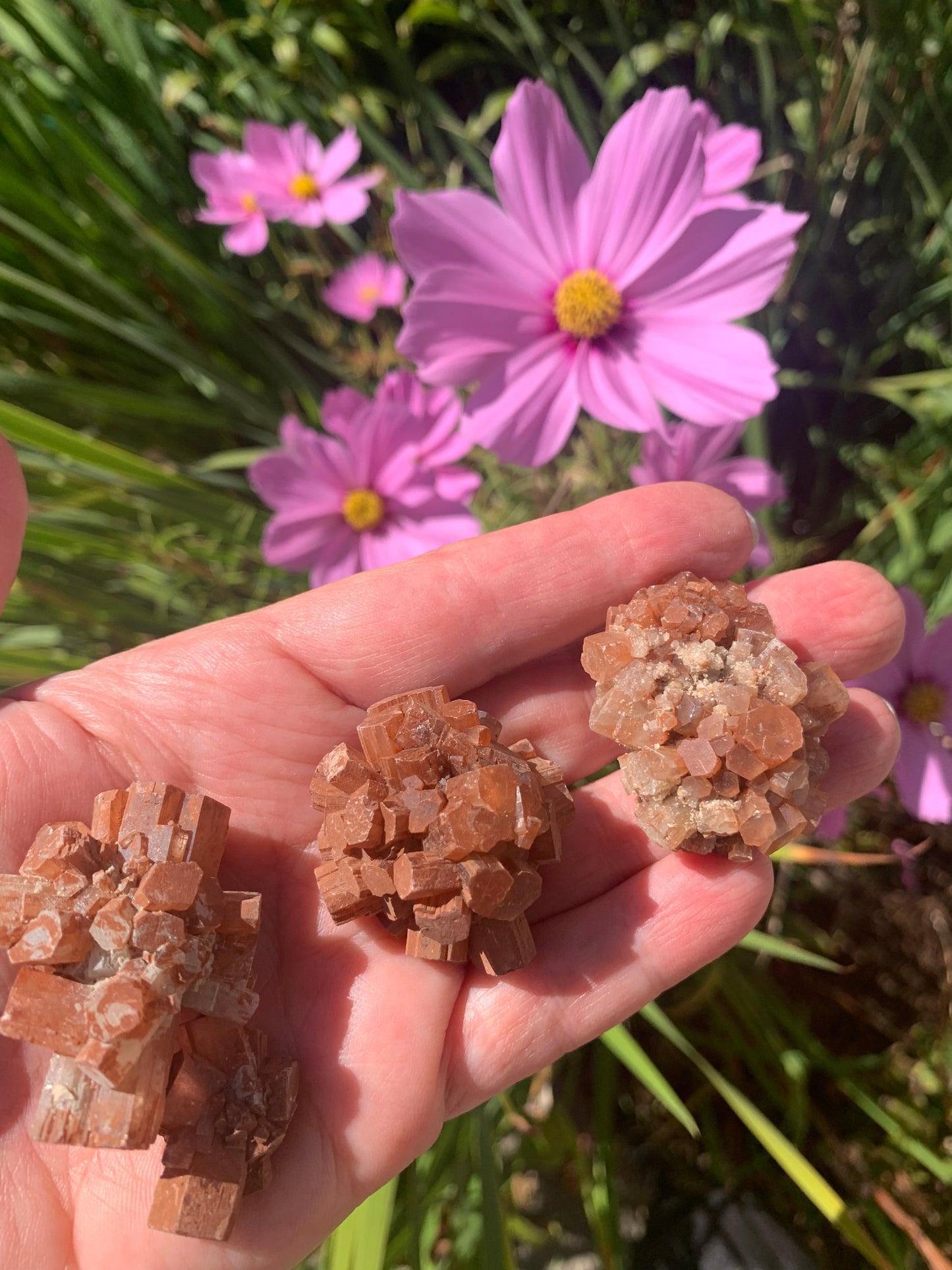 Star Aragonite Cluster