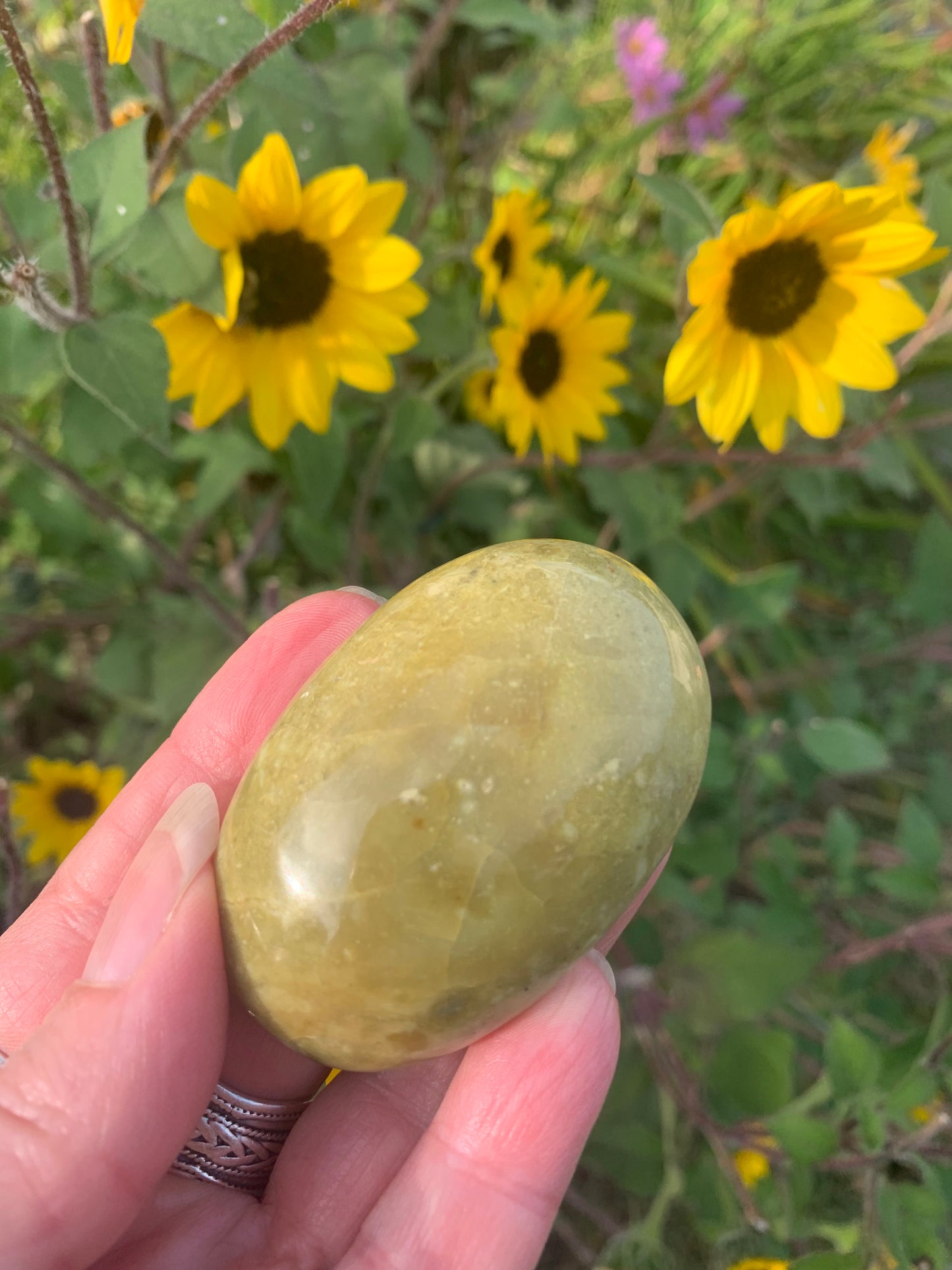 Green Opal Palm Stone