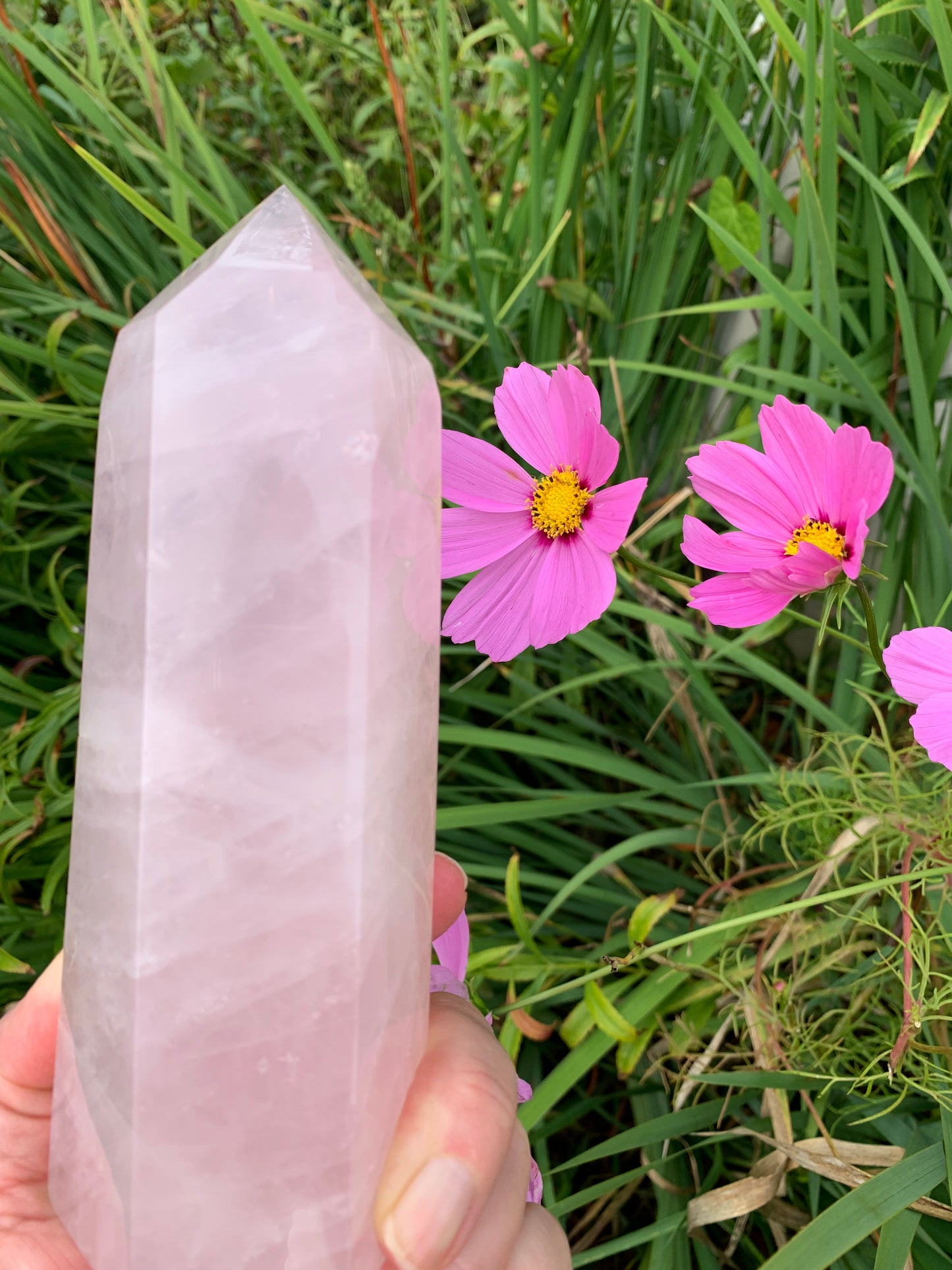 Rose Quartz Generator - Madagascar