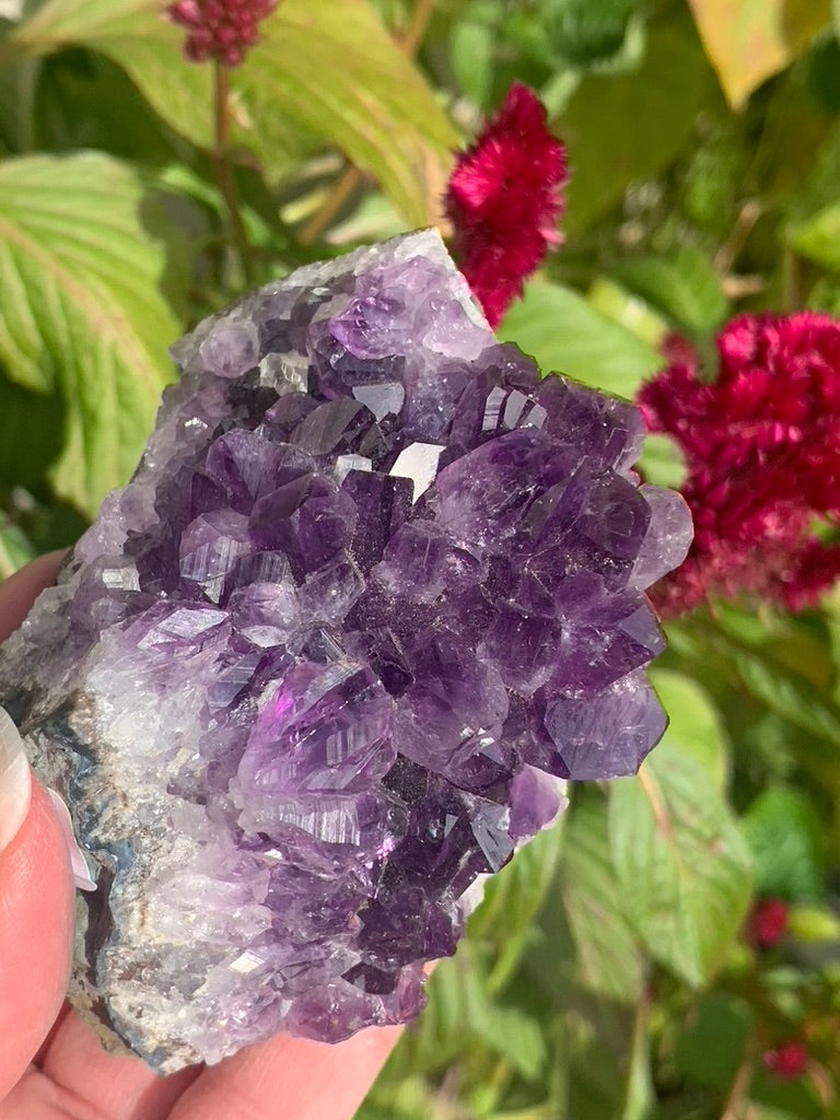 Amethyst Cluster