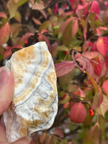 Zebra Calcite with Orange Calcite - Mexico