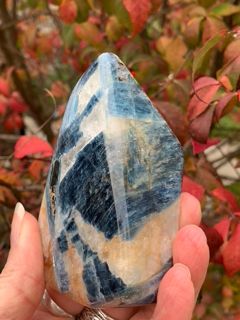 Blue  Kyanite with Quartz Free Form - India