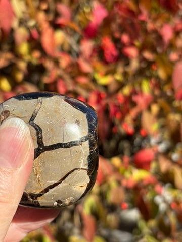 Septarian Druzy Dragon Egg with Calcite crystals - Madagascar