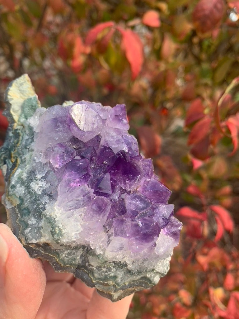 Amethyst Cluster with Goethite Inclusions