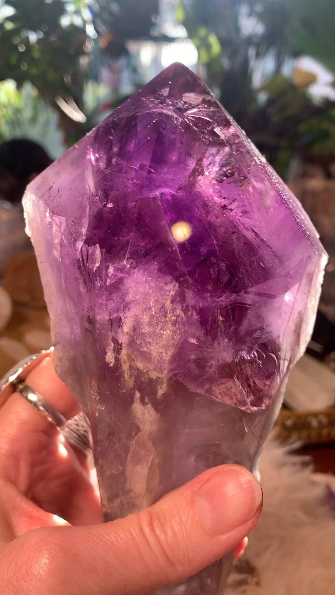 Amethyst Root Point - Brazil