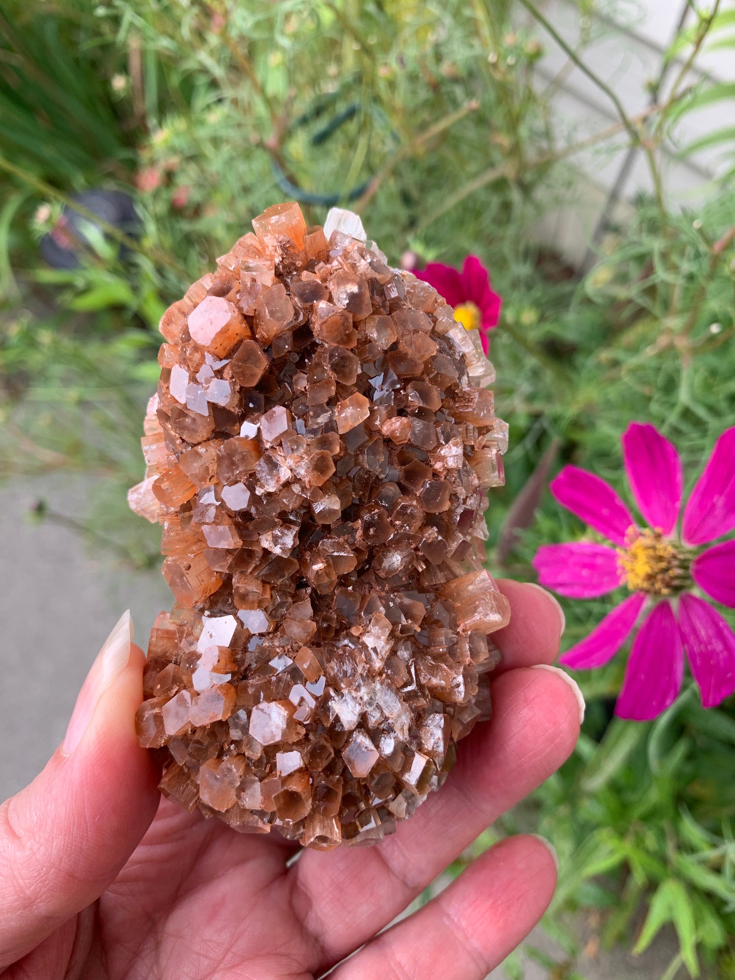 Star Aragonite Cluster