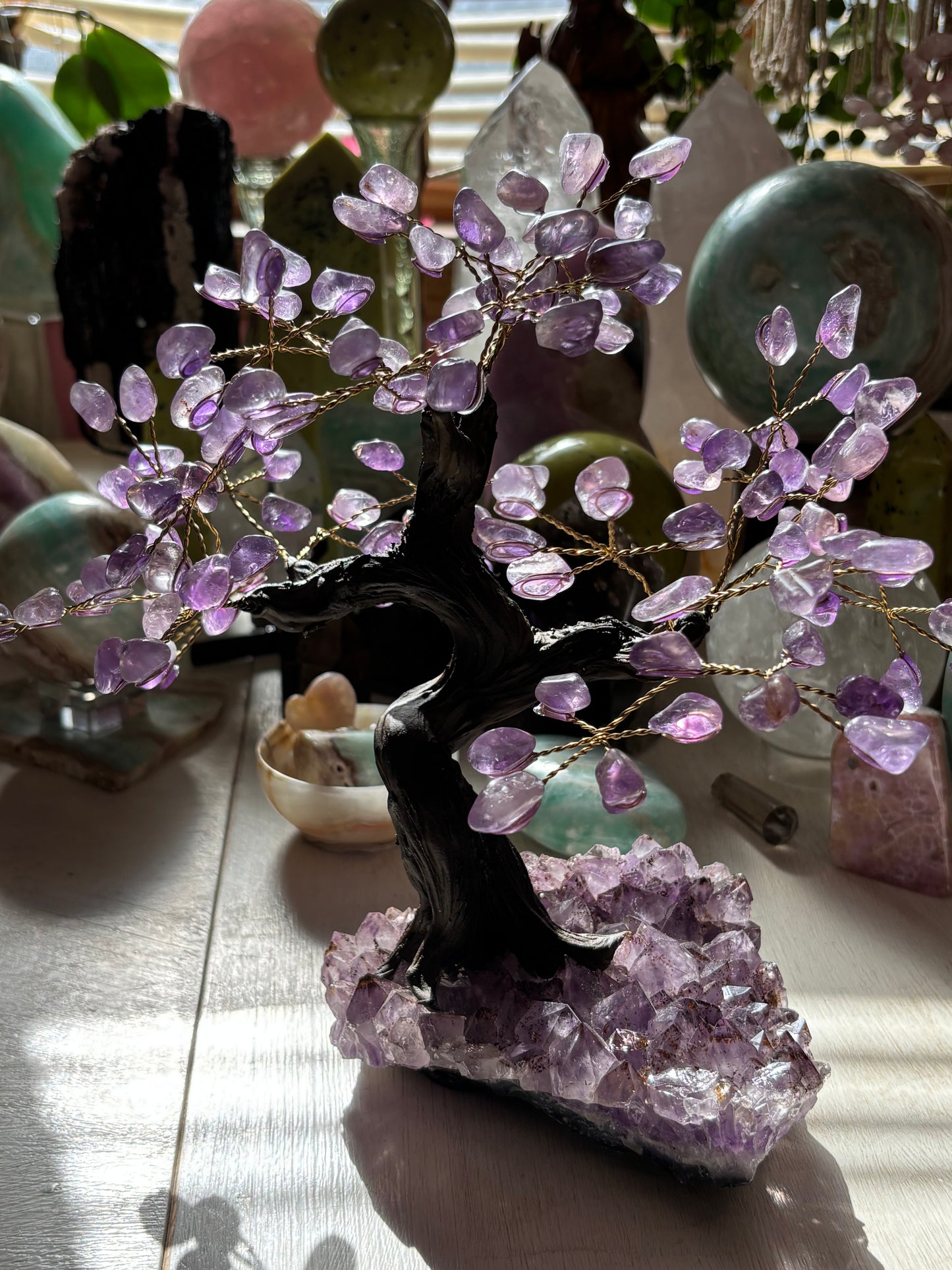 Amethyst Tree on Cluster - Medium - Brazil
