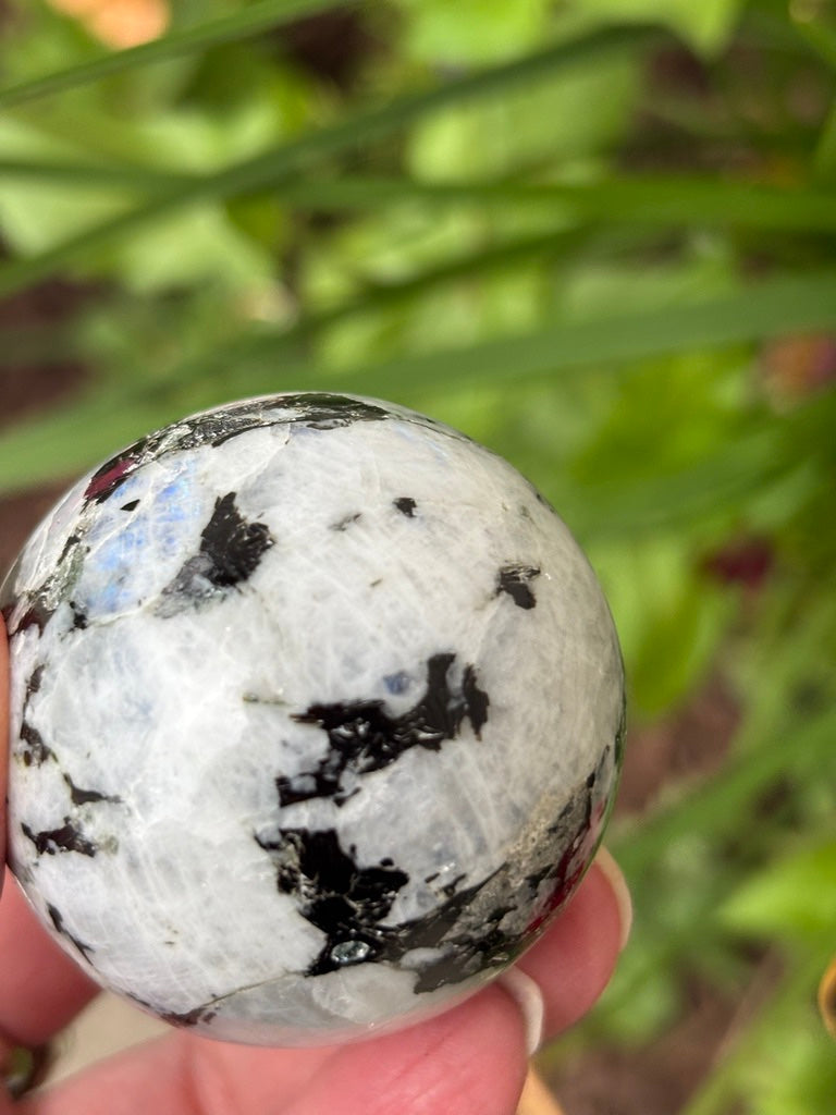 Rainbow Moonstone - Sphere | India