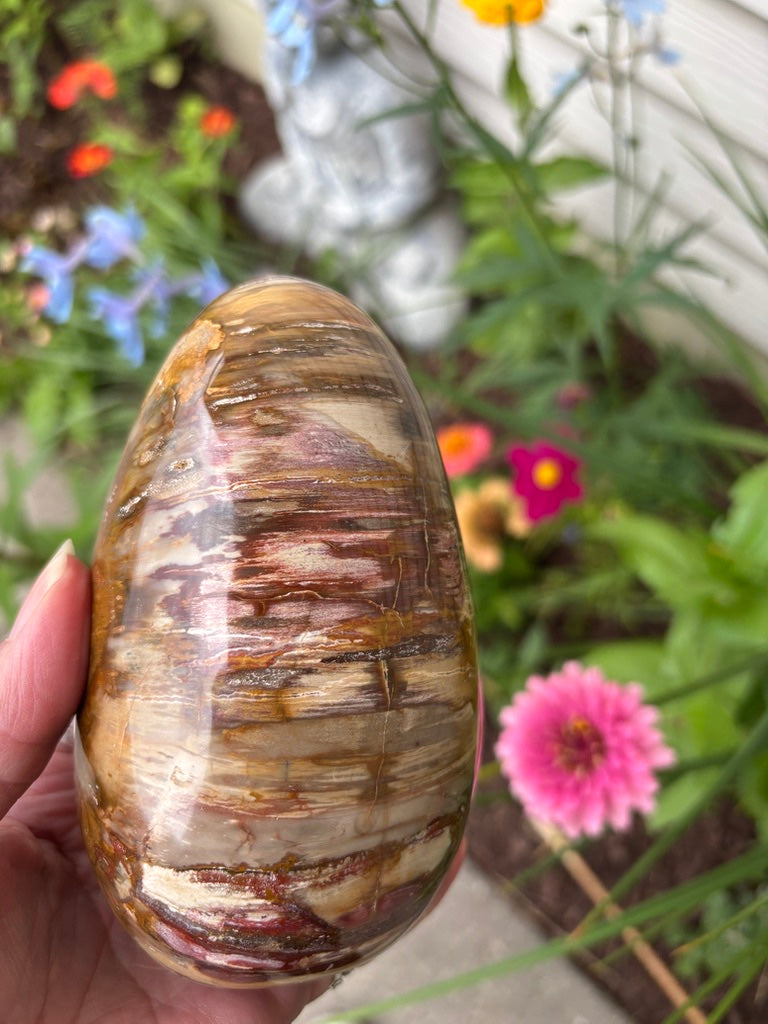 Petrified Wood - Free Form - Madagascar