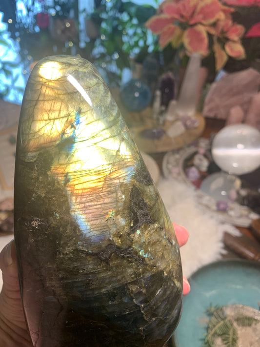 Labradorite freeform - Madagascar