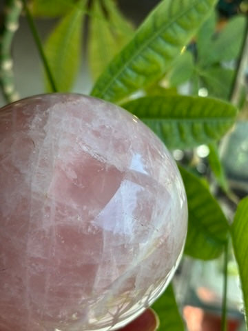 Rose Quartz | Sphere | Madagascar