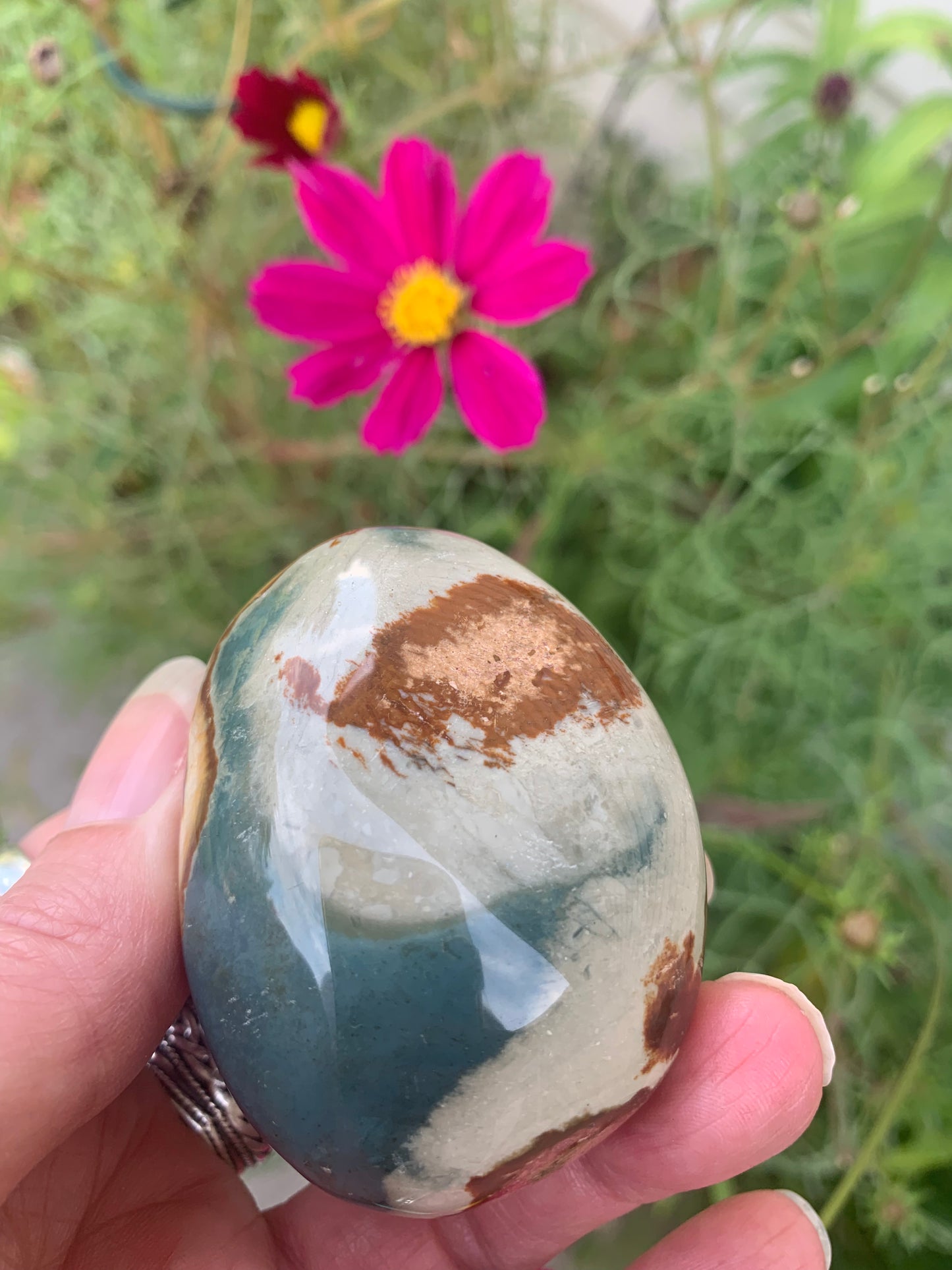 Polychrome Jasper Palm Stone