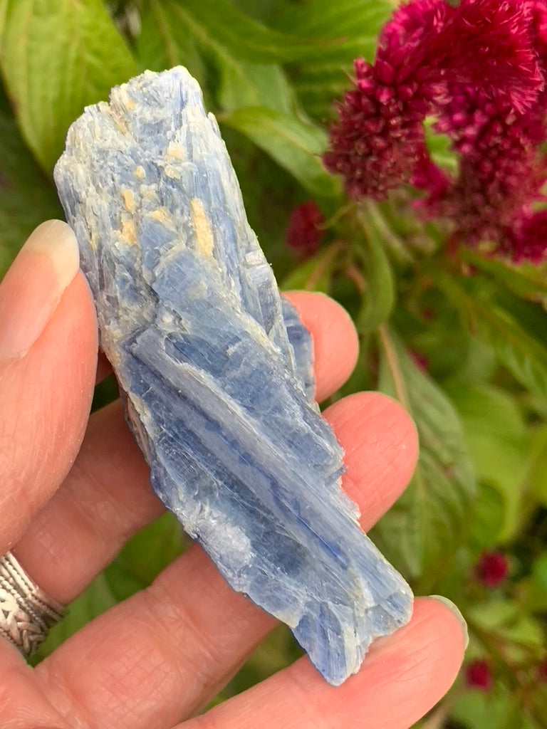 Blue Kyanite with Quartz and Garnet Inclusions natural - Brazil