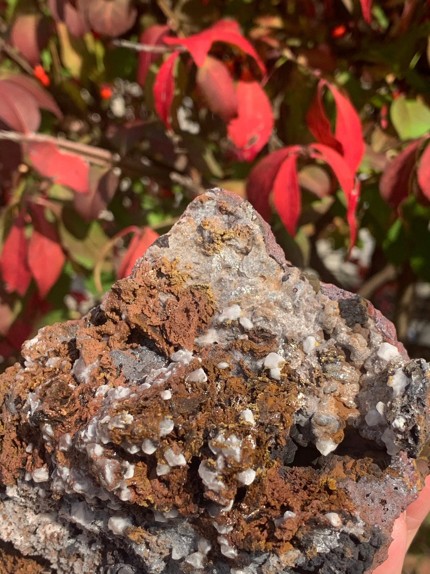 Goethite and Calcite with inclusions Cluster - Morocco