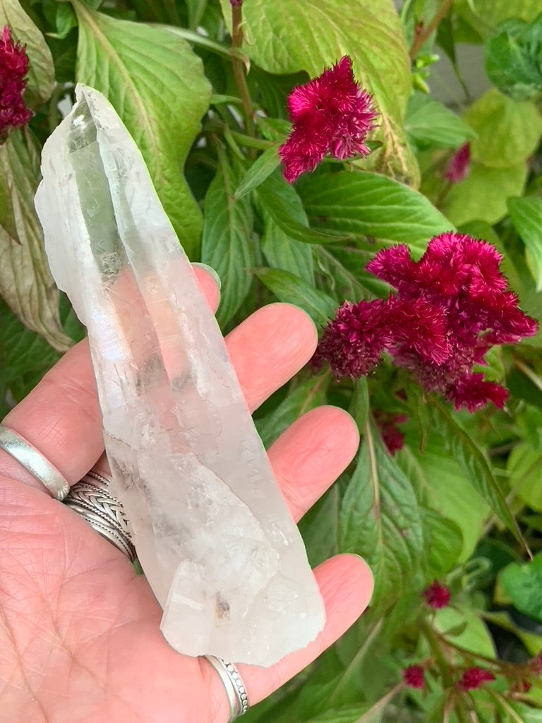 Lemurian Quartz Point