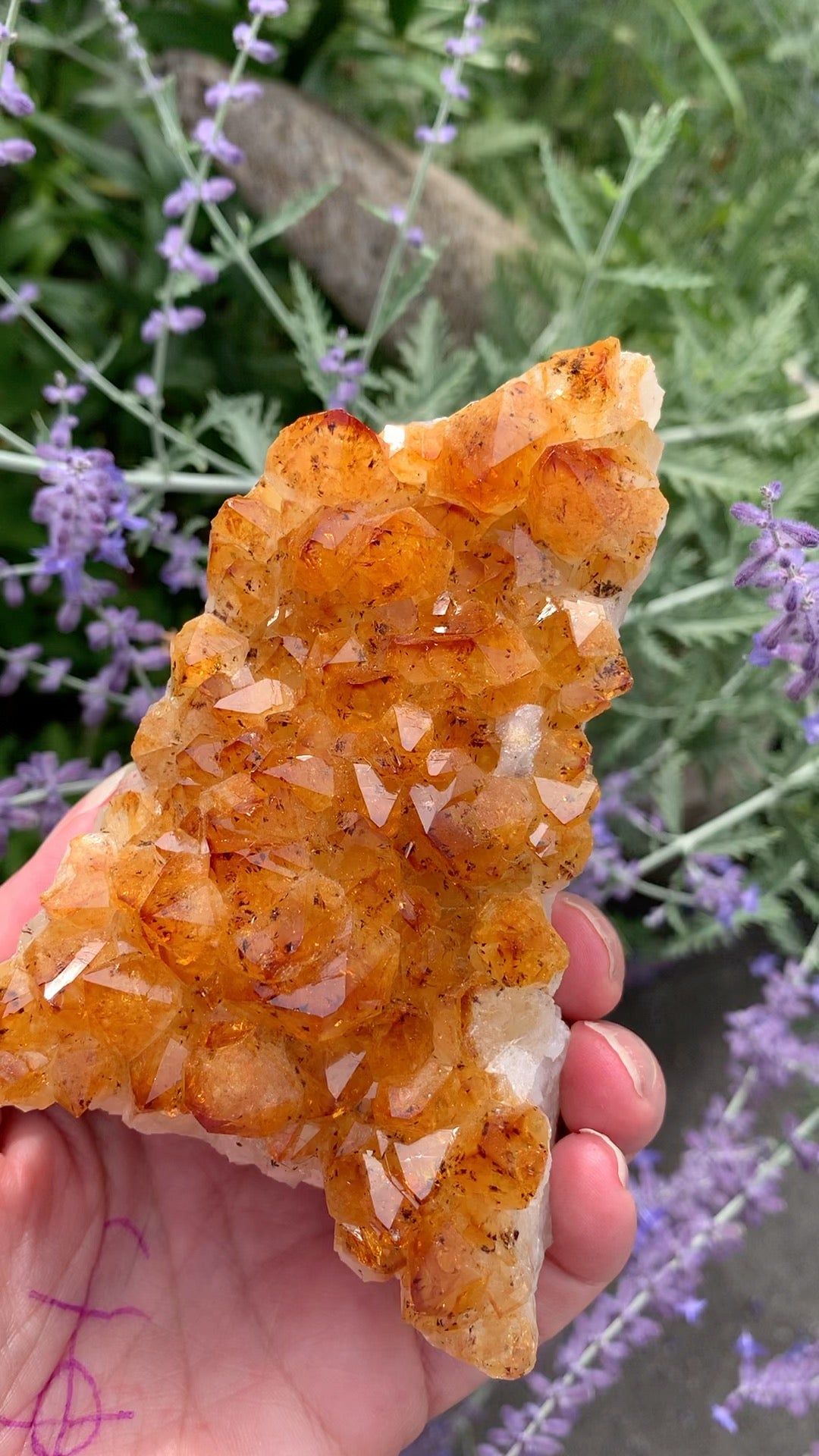 Golden Amethyst - Citrine Cluster - Madagascar