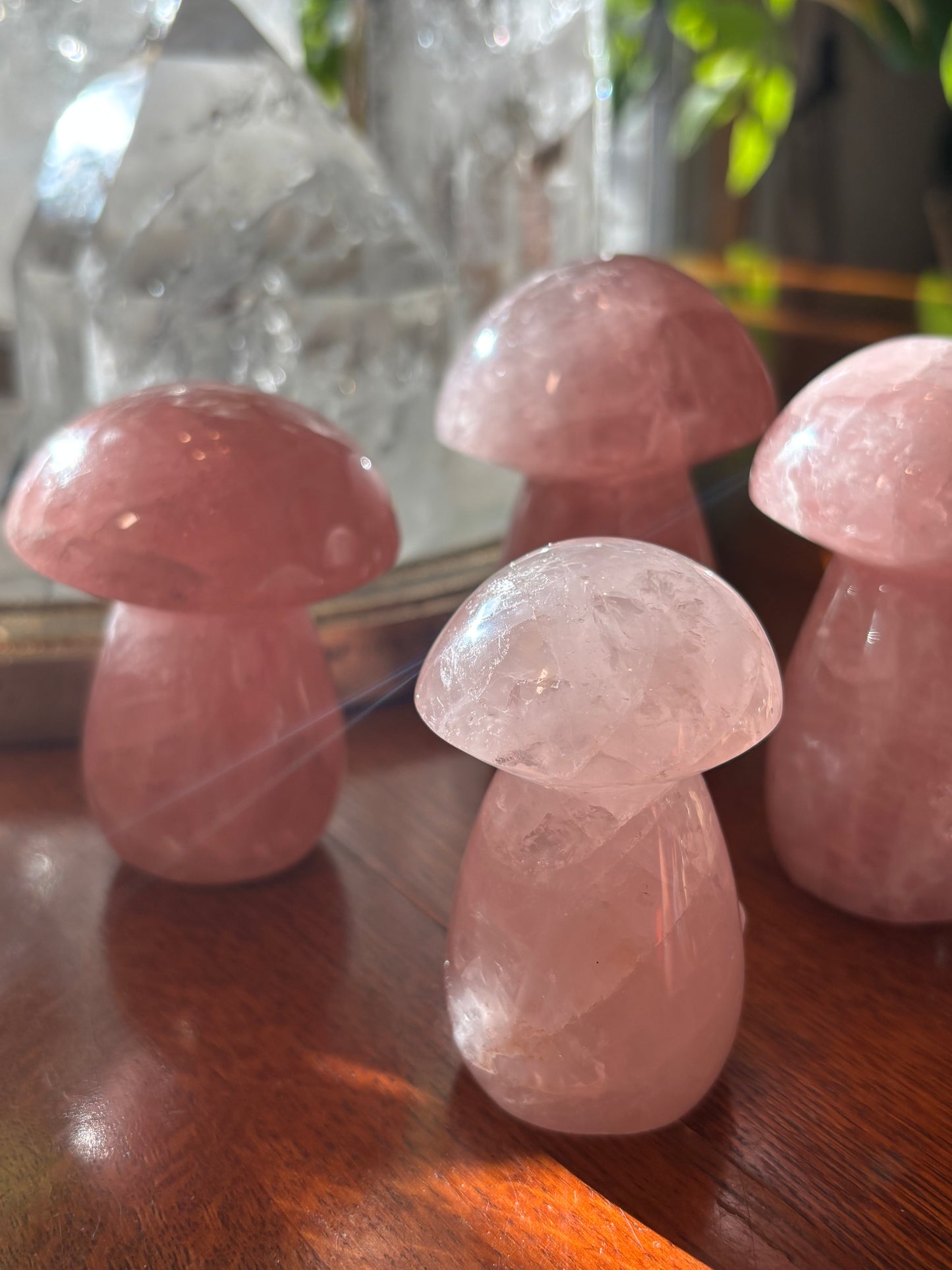 Rose Quartz - Mushroom | Madagascar