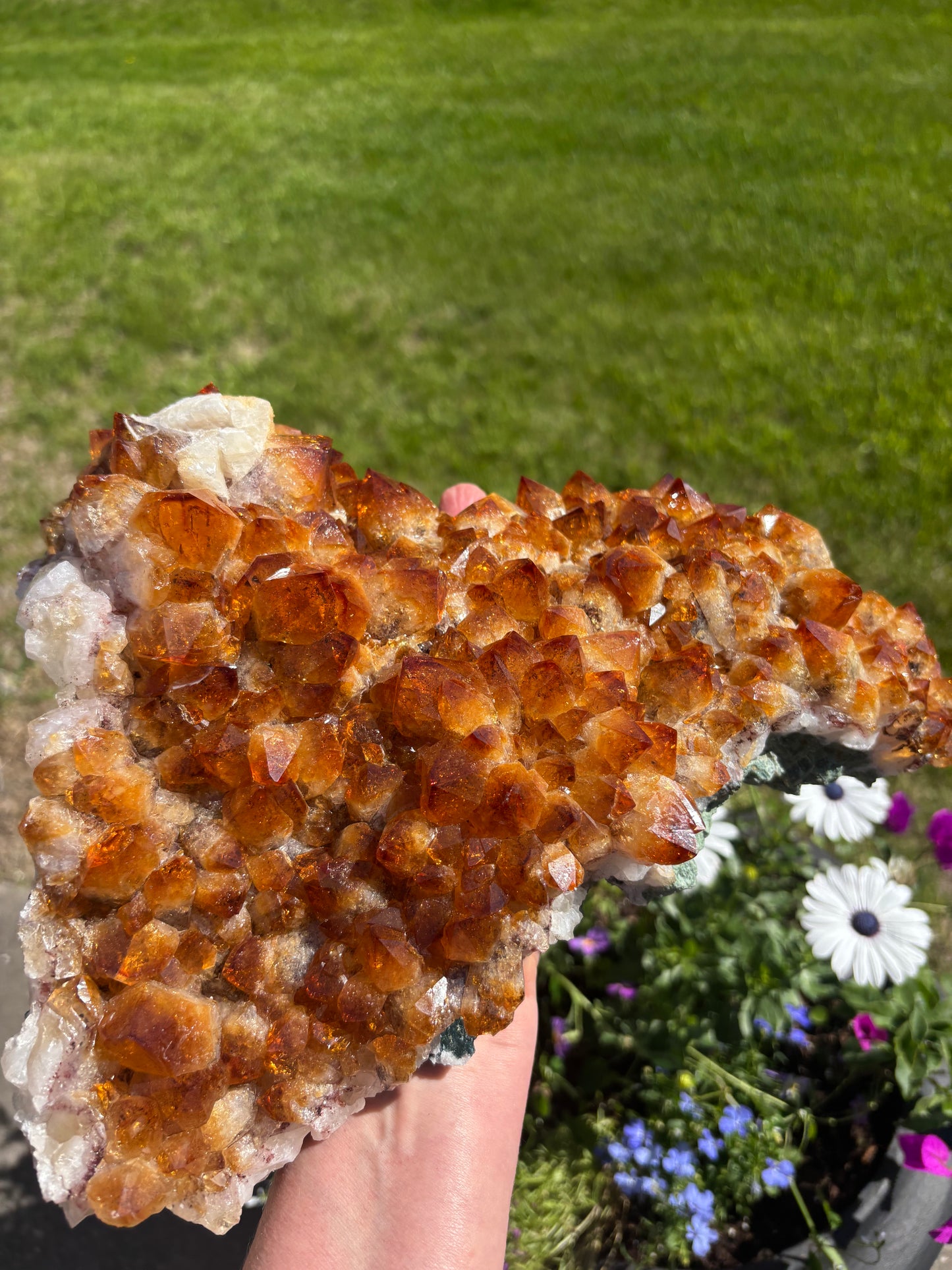 Golden Amethyst - Citrine Cluster - Brazil