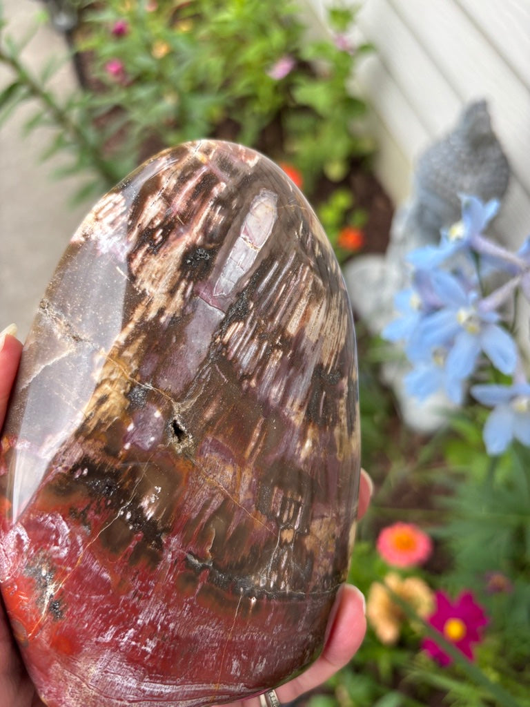Petrified Wood - Free Form - Madagascar