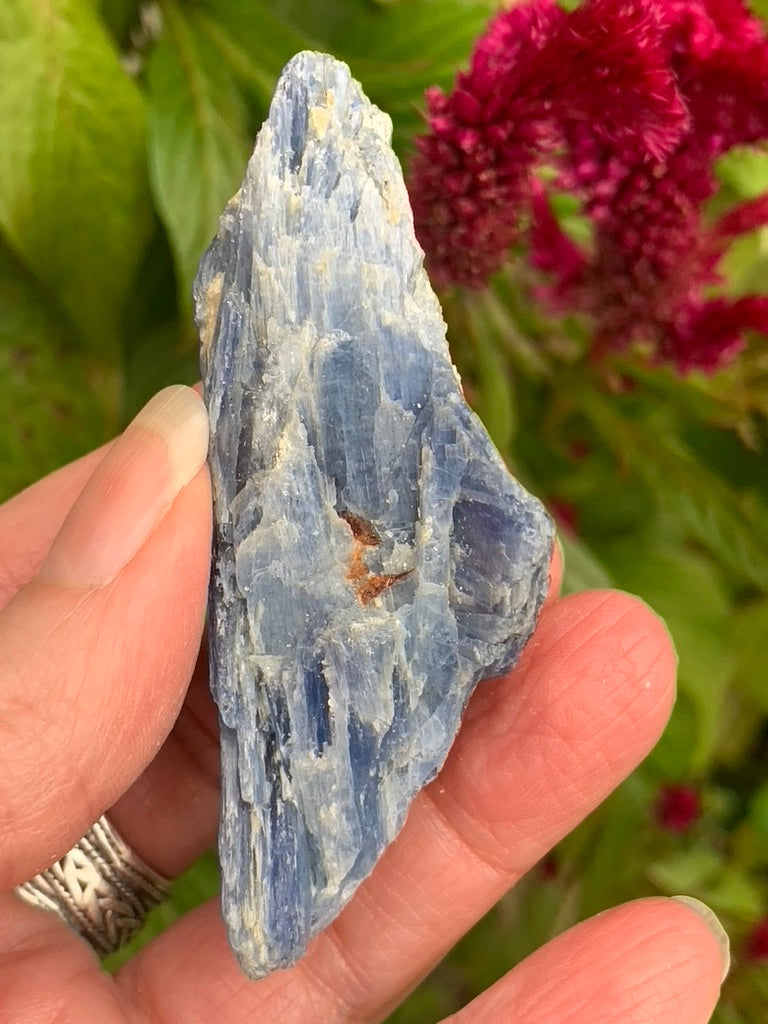 Blue Kyanite with Quartz and Garnet Inclusions natural - Brazil