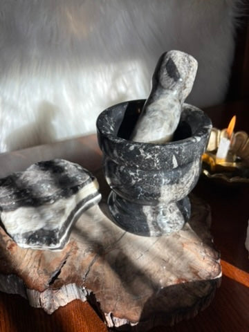 Orthoceras | Mortar and Pestle
