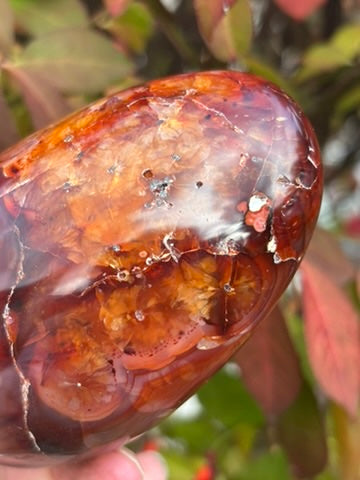 Carnelian Free Form - Madagascar