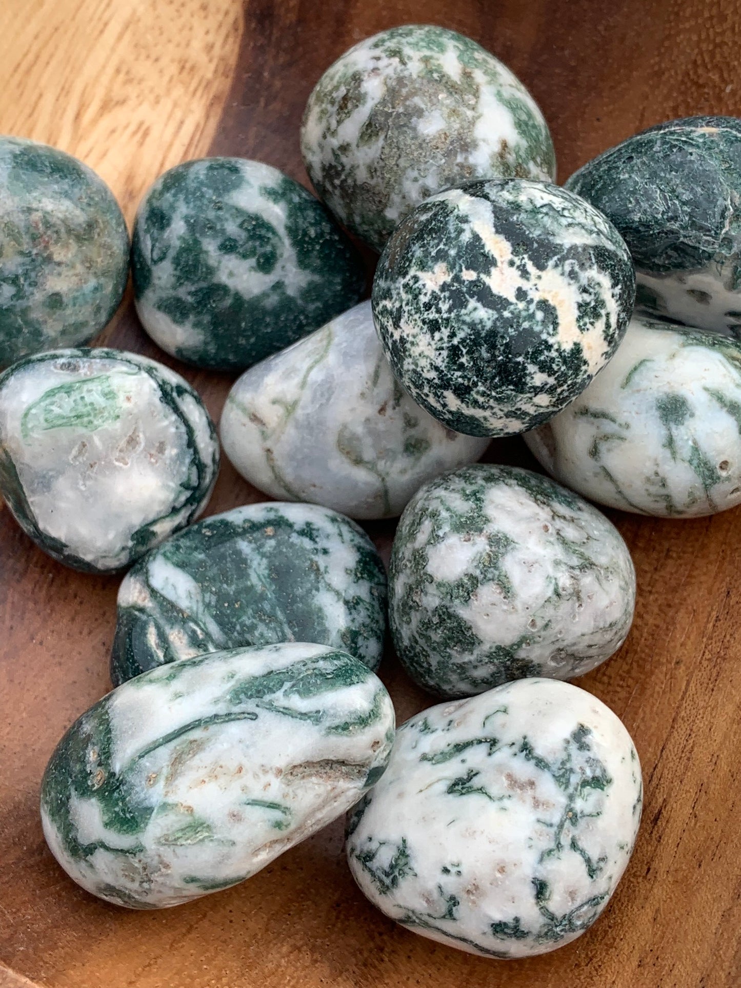 Green Tree Agate- Tumble