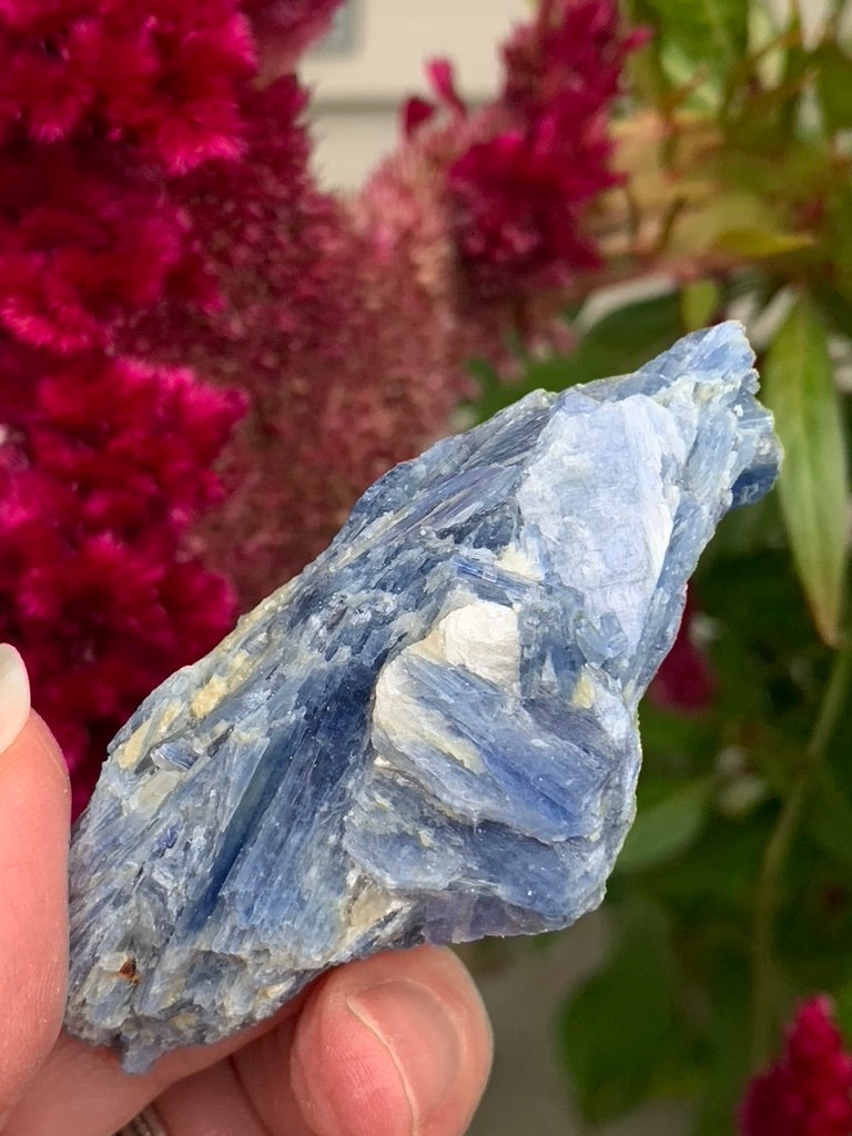 Blue Kyanite with Quartz and Garnet Inclusions natural - Brazil