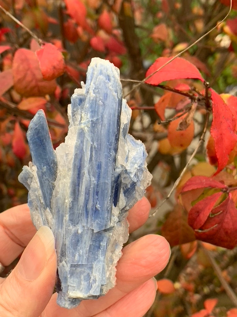 Blue  Kyanite with Quartz natural - Brazil