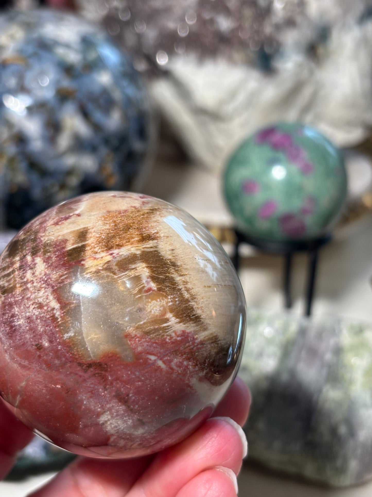 Petrified Wood Sphere - Madagascar