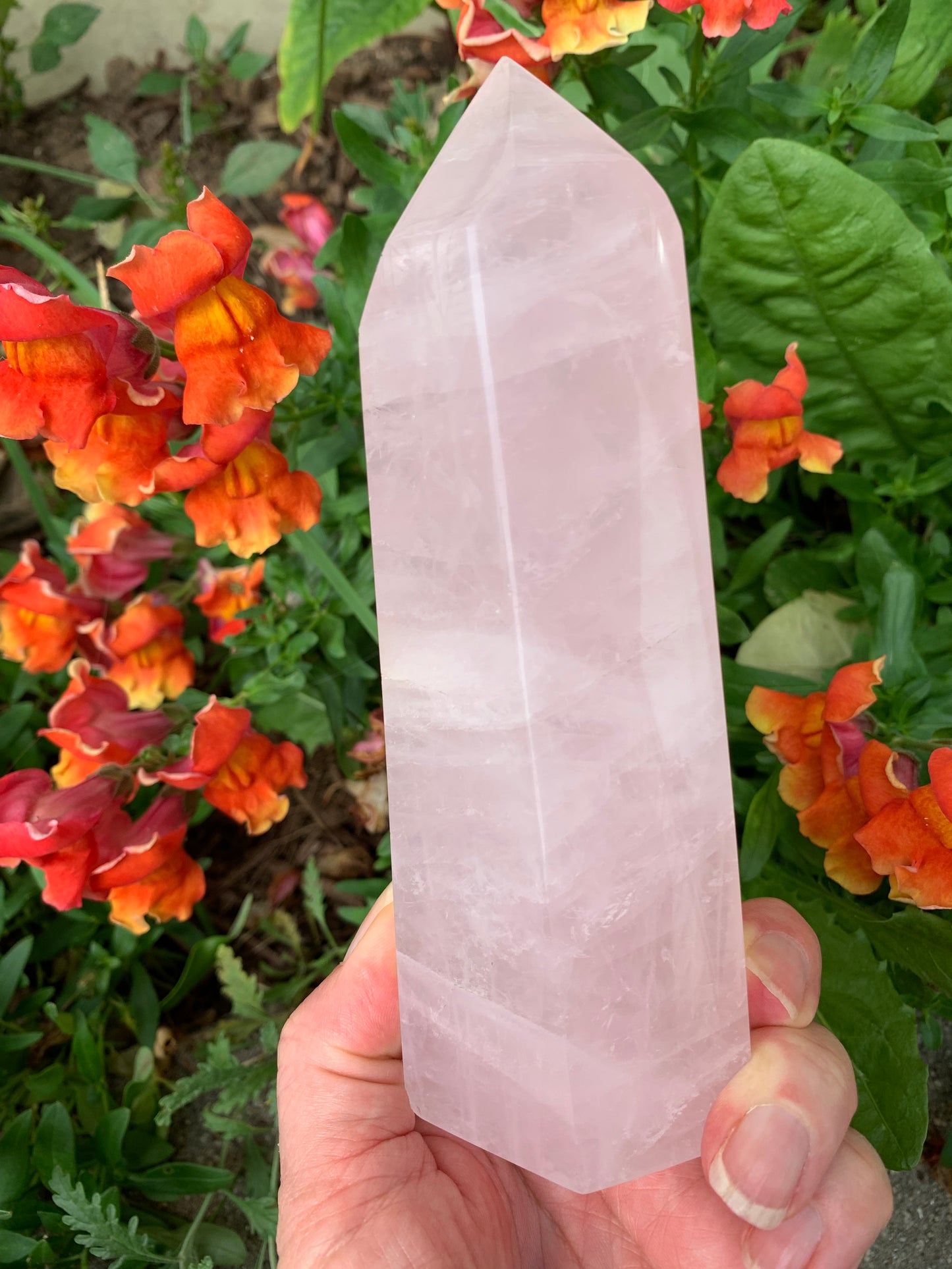 Rose Quartz Generator - Madagascar