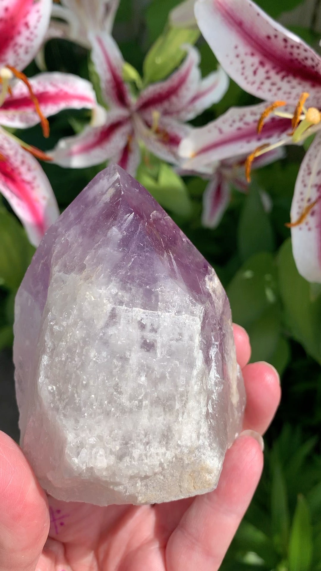 Amethyst Point Brazil