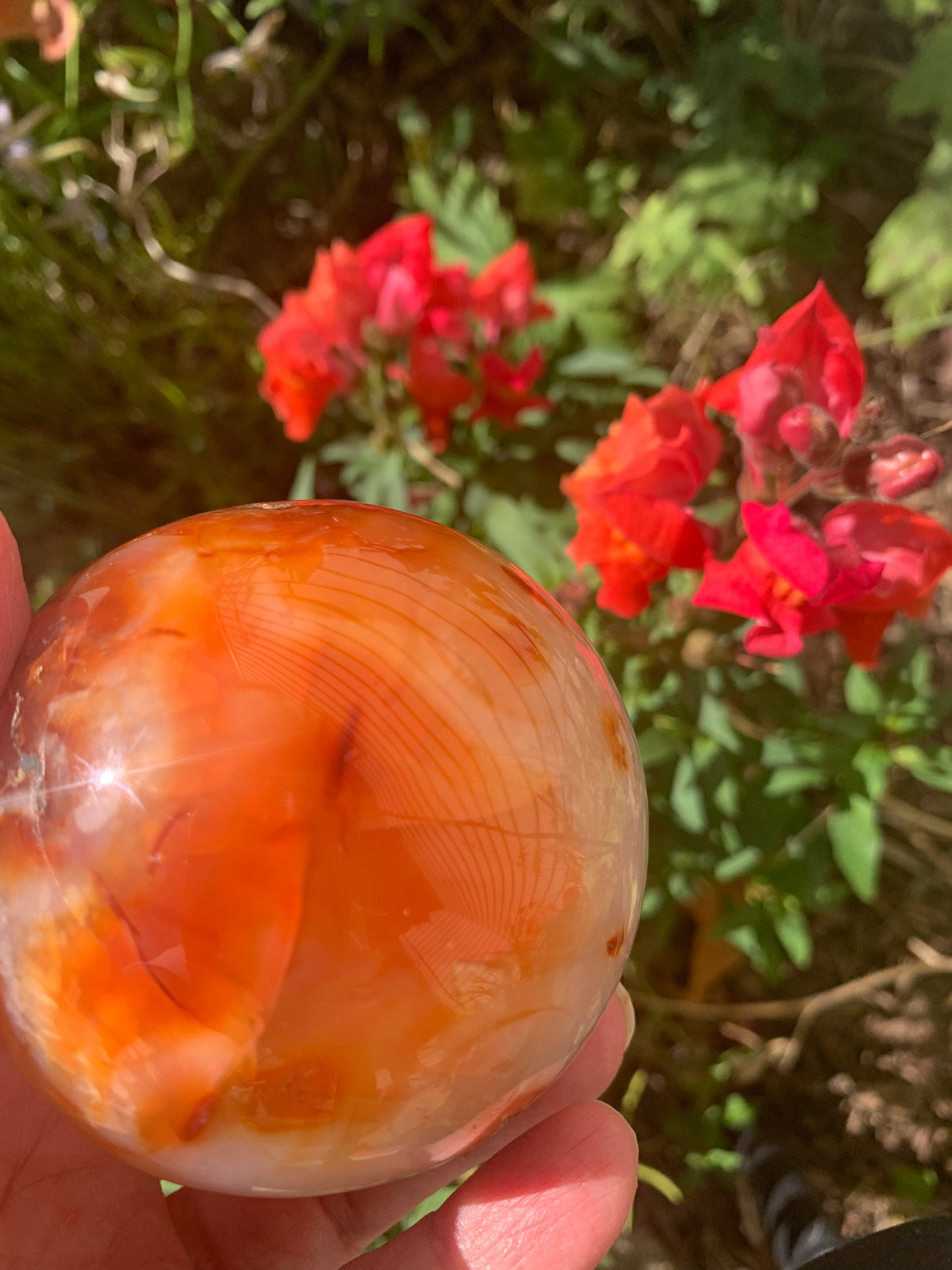 Carnelian Sphere - Madagascar