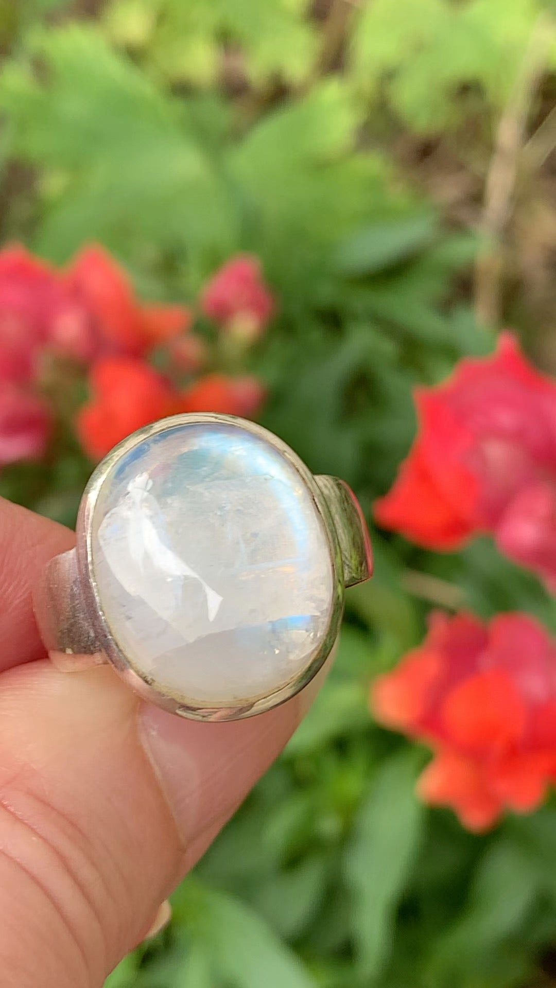 Rainbow Moonstone Ring size 9.5