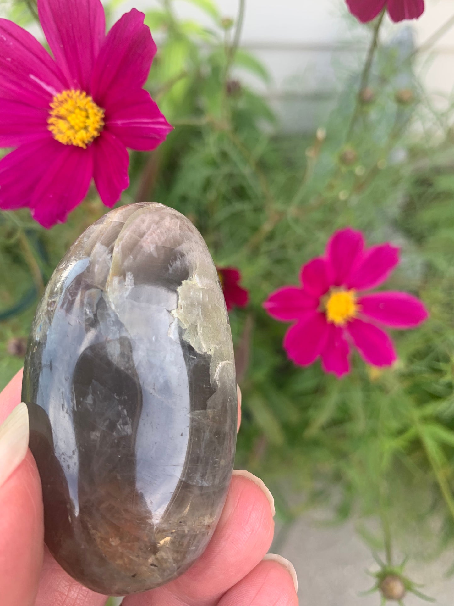 Black Moonstone Palm Stone