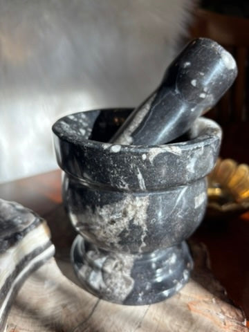Orthoceras | Mortar and Pestle