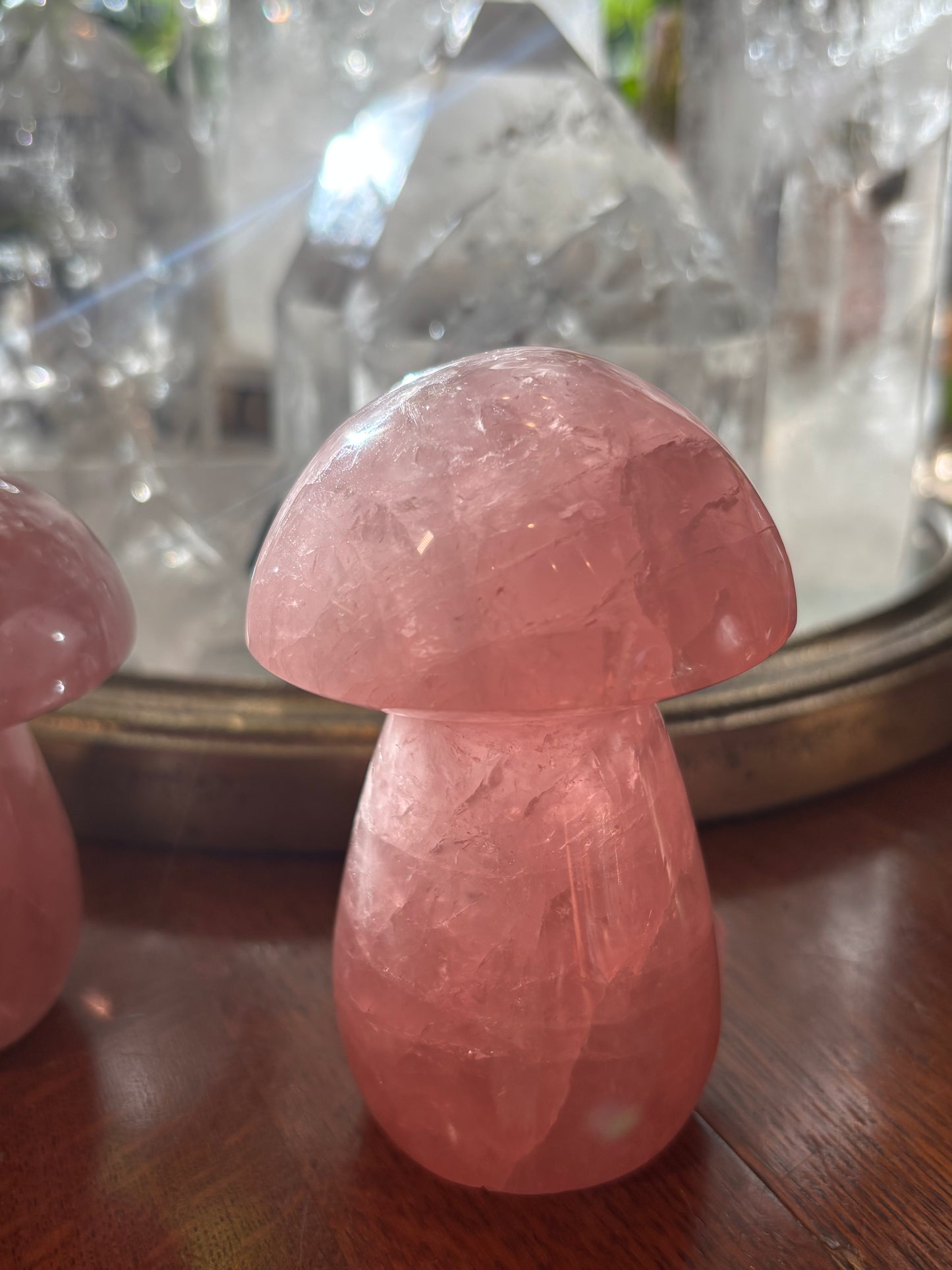 Rose Quartz - Mushroom | Madagascar