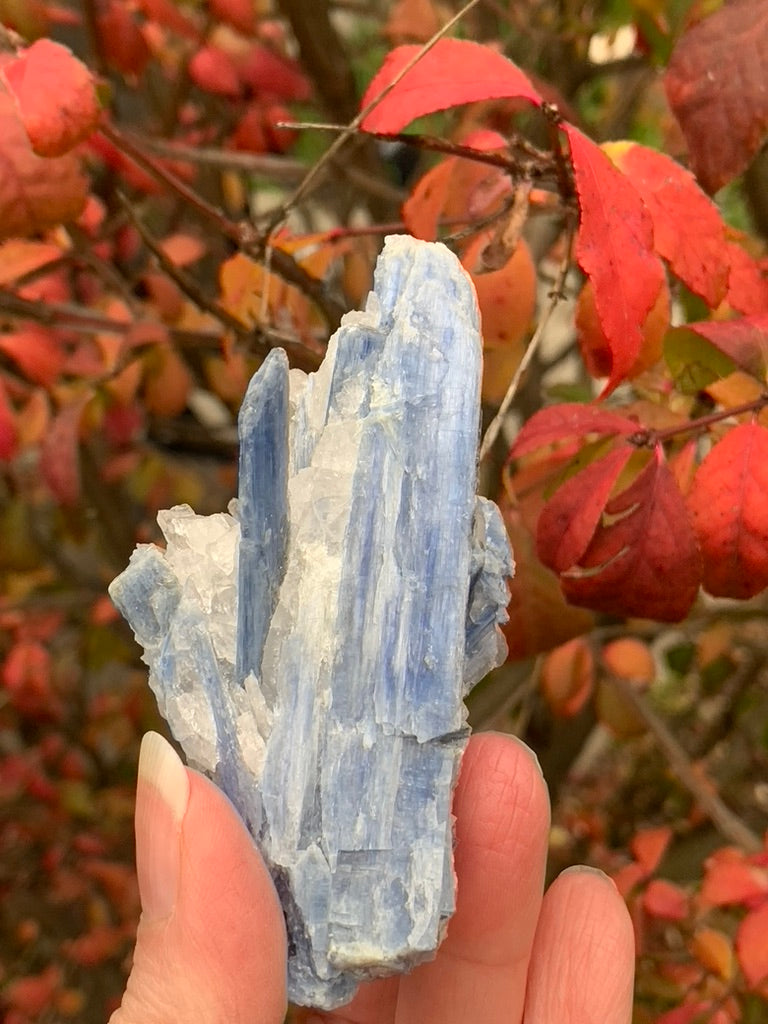 Blue  Kyanite with Quartz natural - Brazil