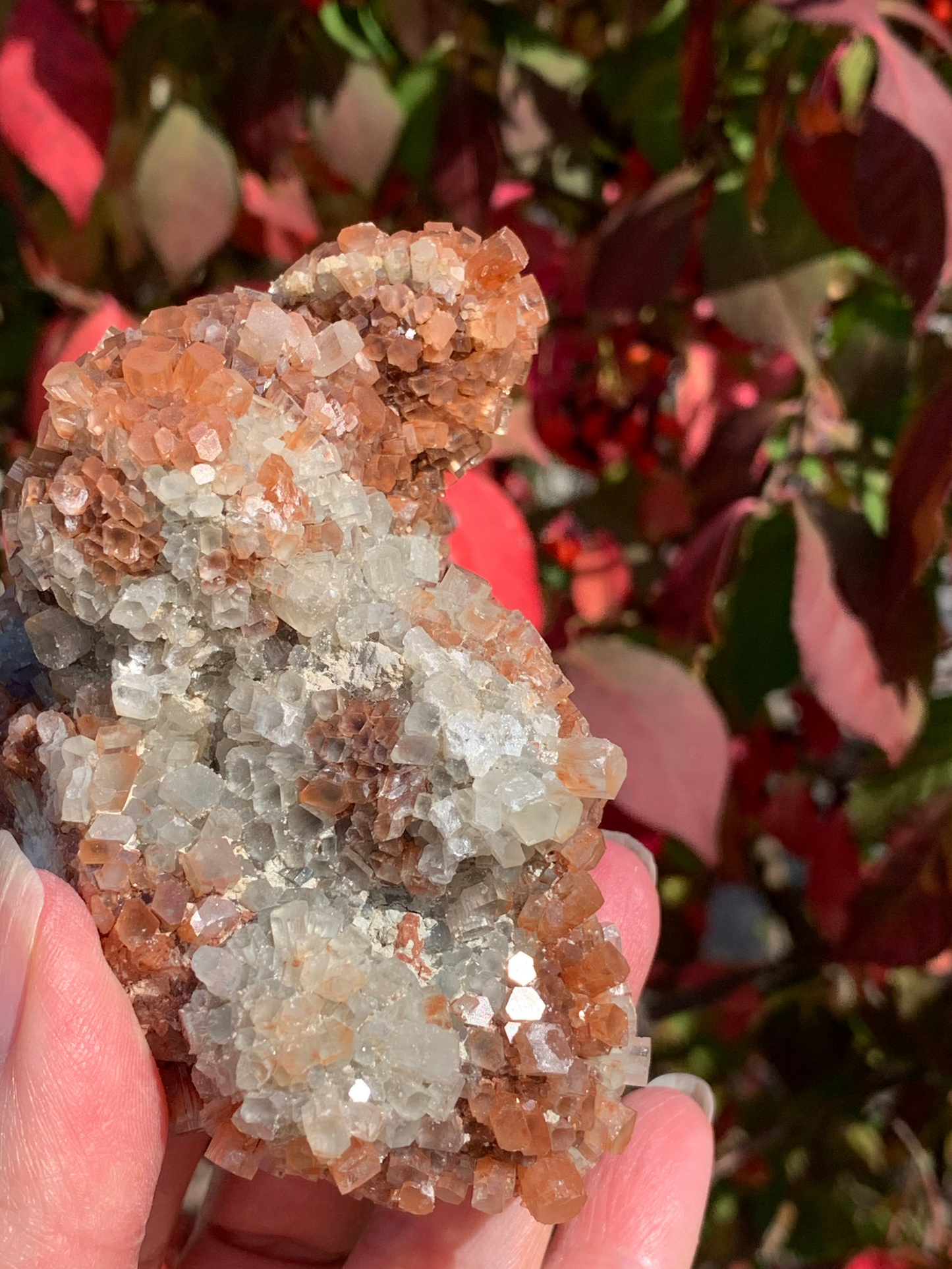 Star Aragonite Cluster