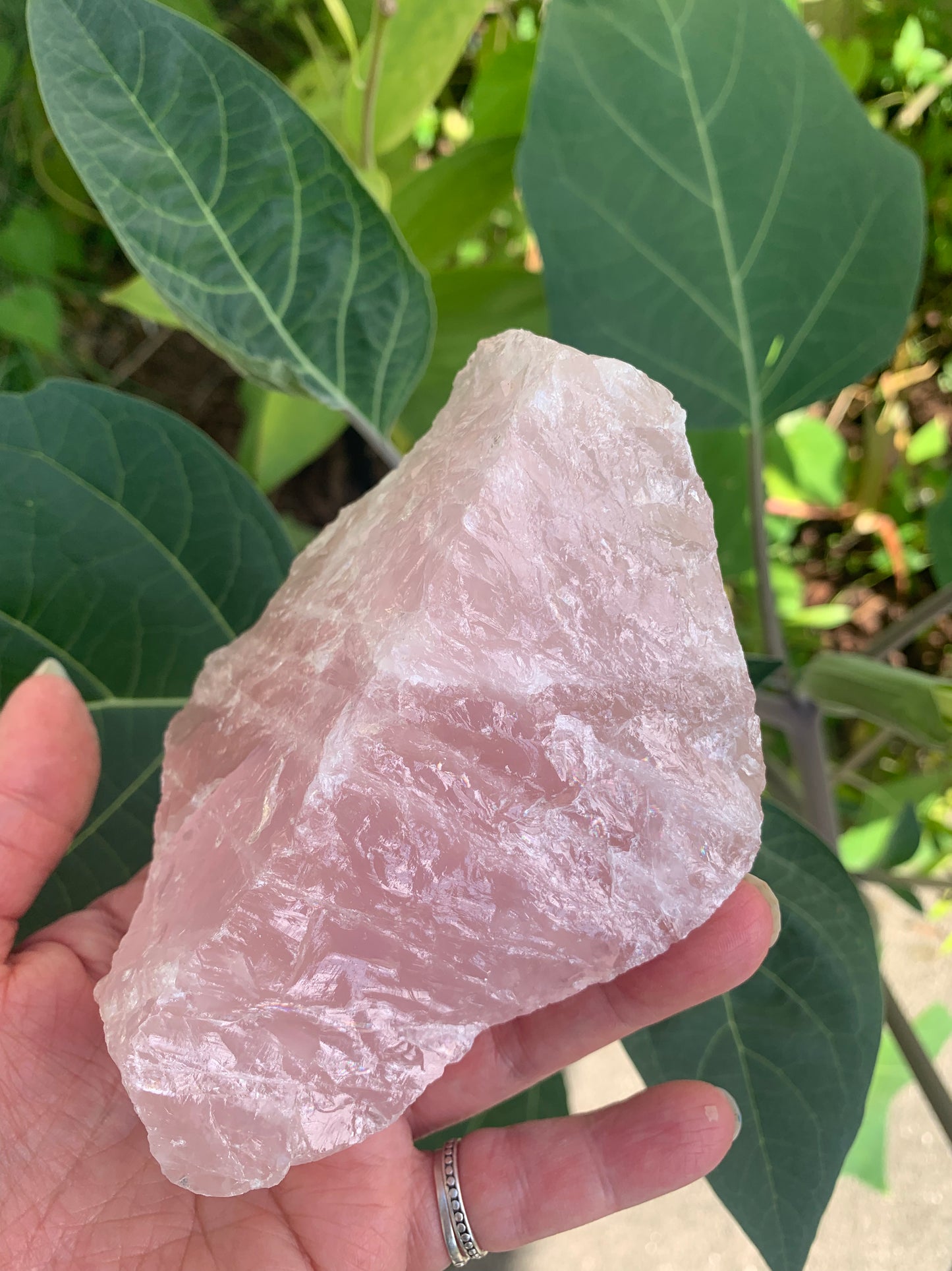 Rose Quartz Natural