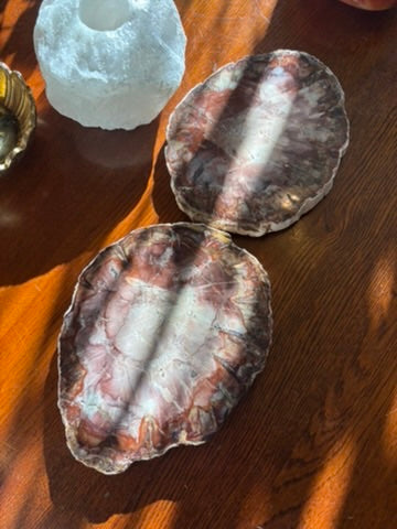 Petrified Wood charging plate set - Madagascar